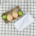 Reusable Plastic Double Layer Lunch Box